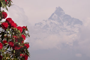 nepál annapurna panoráma gyalog túra kilátás hegy csúcs