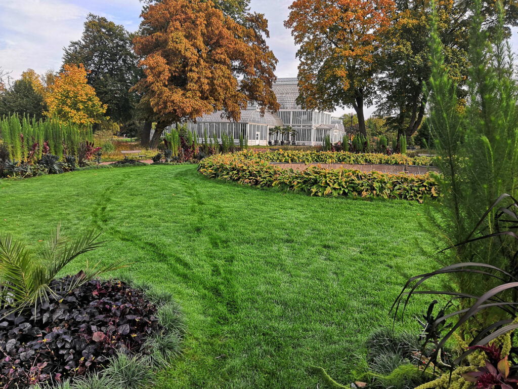 palmhouse güteborg